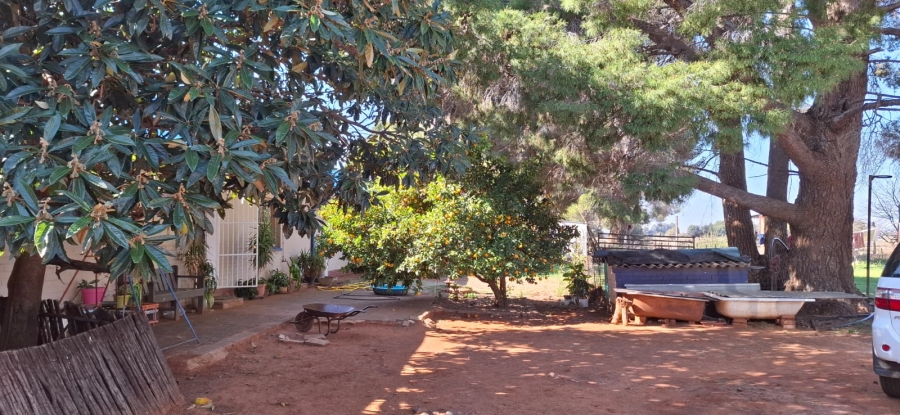 Commercial Property for Sale in Bloemdal Free State